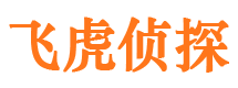 离石市侦探公司